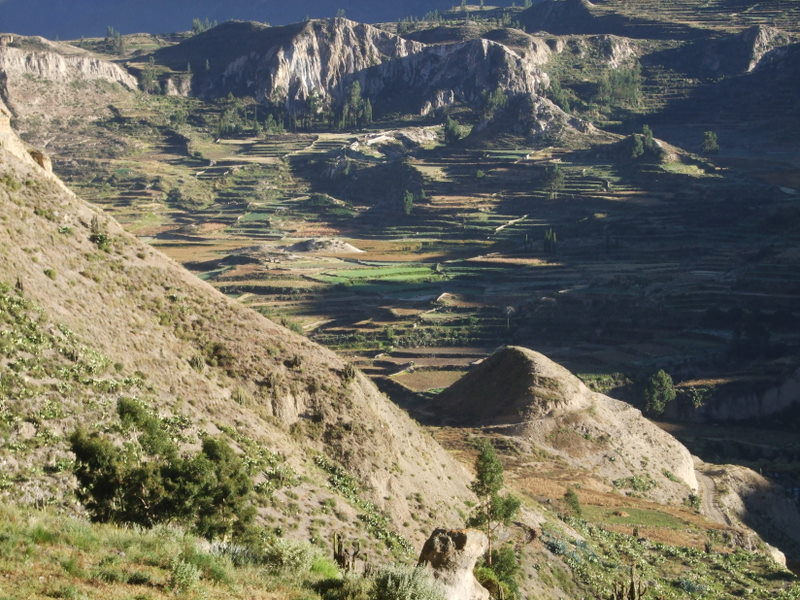 Kaňon Colca I.