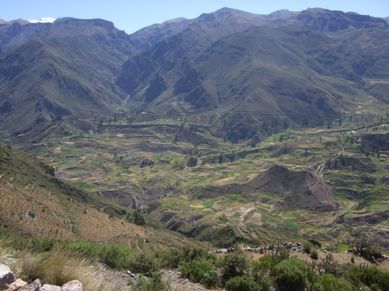 Kaňon Colca III.