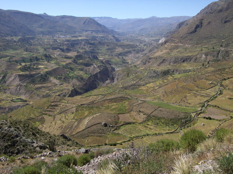 Kaňon Colca IV.
