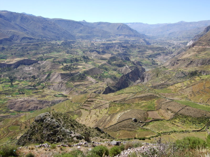 Kaňon Colca V.