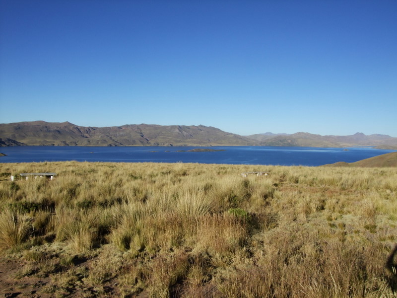 Lagunillas I.